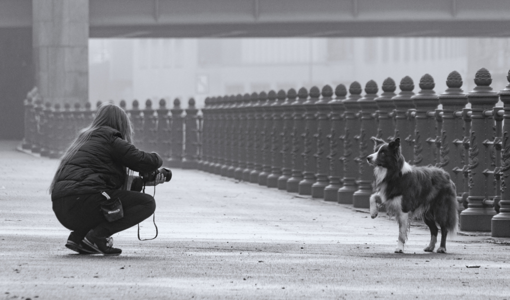 How to Compose a Photograph for Maximum Visual Impact — Practical Composition Rules and Techniques